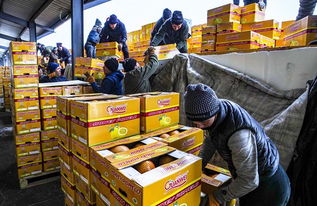 新疆塔城借百年口岸為亞歐餐桌 添彩 組圖