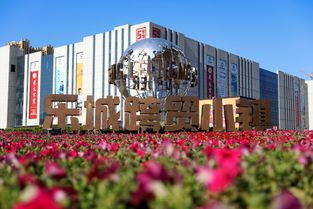 石家莊樂城領跑智慧商貿產業集群,促進商貿流通發展