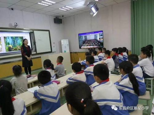 放飛想象，快樂共享 新星小學與大榮小學美術互動課堂紀實